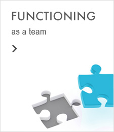 Functioning as a Team